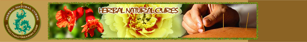 Herbal Natural Cures, Lucid Ganoderma, Royal Jelly, Bee Pollen,Ge Defying Cream
