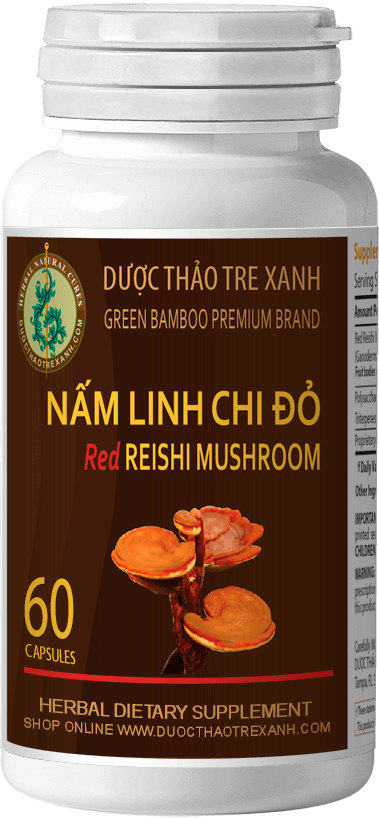 NẤM LINH CHI ĐỎ